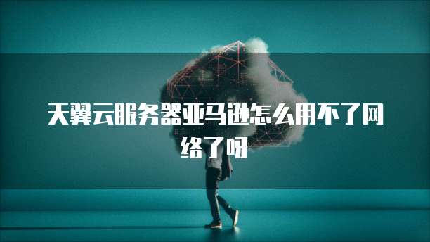 天翼云服务器亚马逊怎么用不了网络了呀