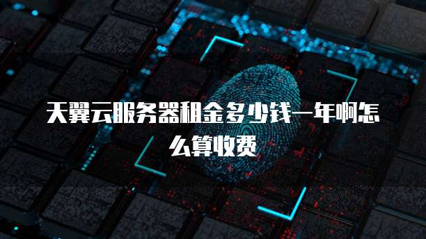 天翼云服务器租金多少钱一年啊怎么算收费