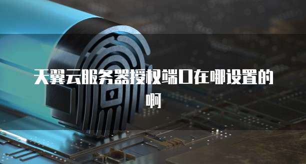 天翼云服务器授权端口在哪设置的啊