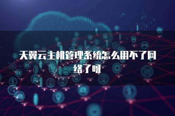 天翼云主机管理系统怎么用不了网络了呀
