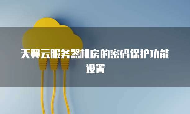天翼云服务器机房的密码保护功能设置