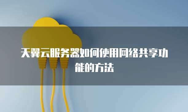 天翼云服务器如何使用网络共享功能的方法