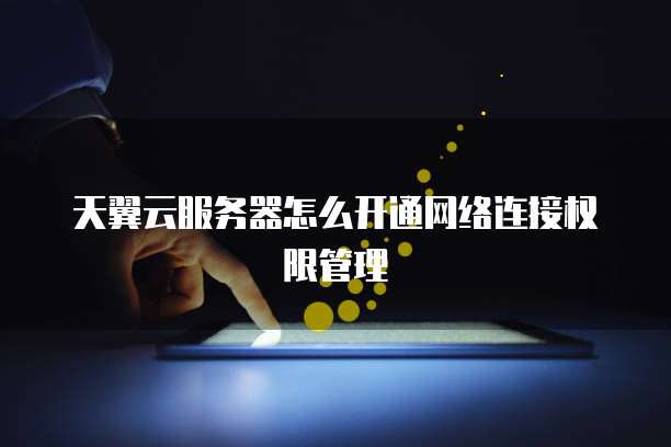 天翼云服务器怎么开通网络连接权限管理