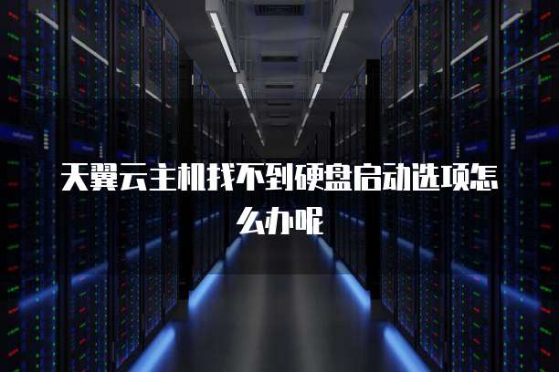 天翼云主机找不到硬盘启动选项怎么办呢