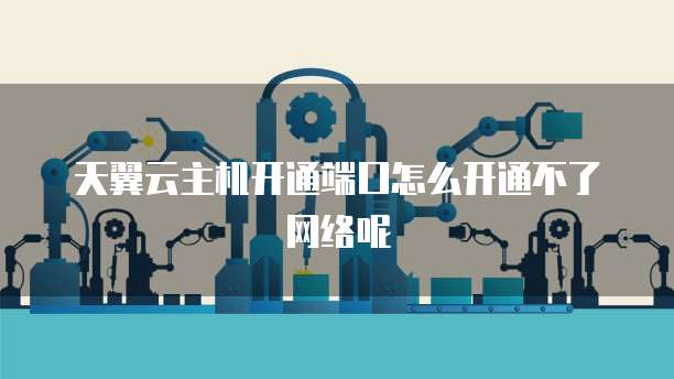 天翼云主机开通端口怎么开通不了网络呢