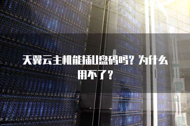 天翼云主机能插U盘码吗？为什么用不了？