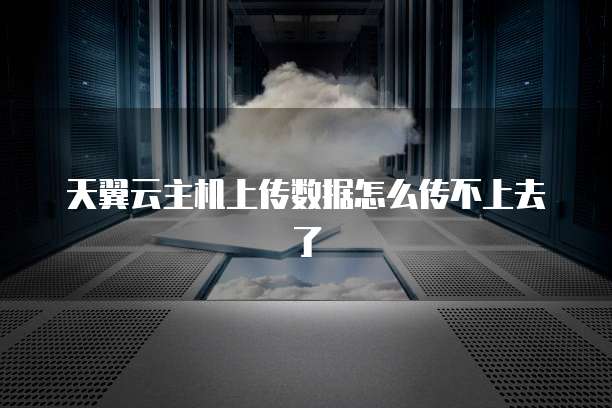 天翼云主机上传数据怎么传不上去了