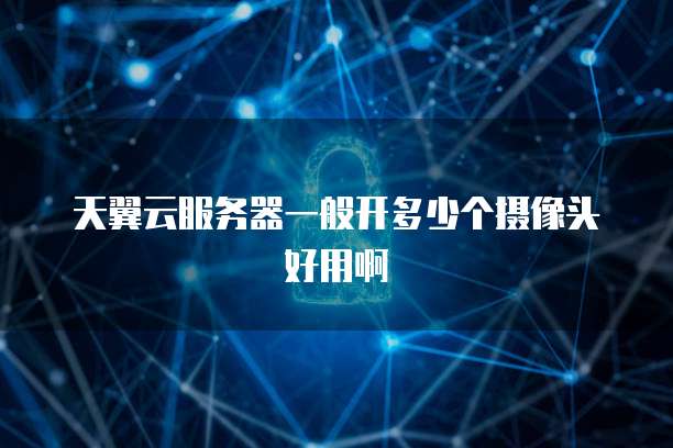 天翼云服务器一般开多少个摄像头好用啊
