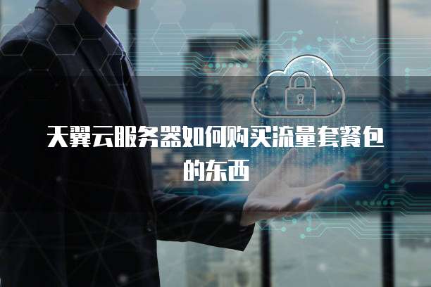 天翼云服务器如何购买流量套餐包的东西