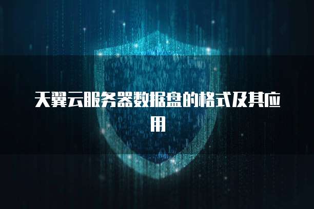 天翼云服务器数据盘的格式及其应用