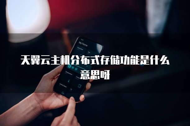 天翼云主机分布式存储功能是什么意思呀