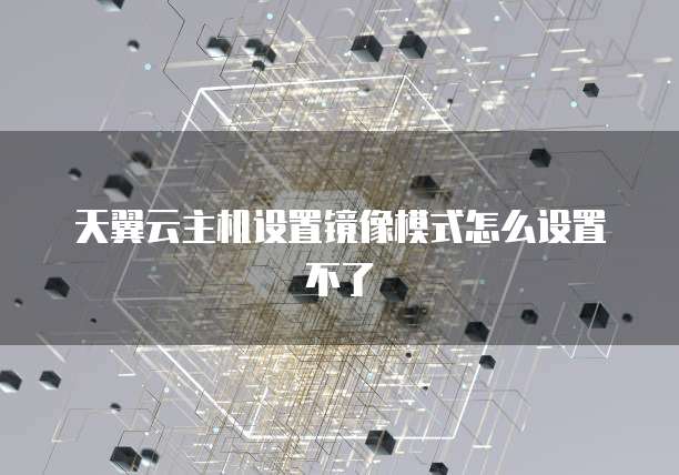 天翼云主机设置镜像模式怎么设置不了