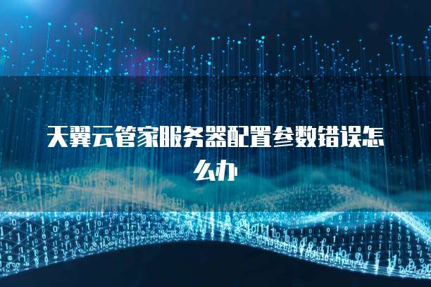 天翼云管家服务器配置参数错误怎么办