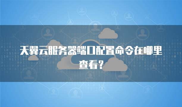 天翼云服务器端口配置命令在哪里查看？