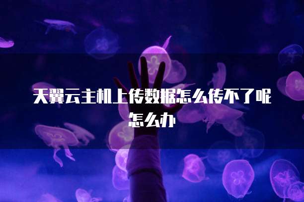 天翼云主机上传数据怎么传不了呢怎么办