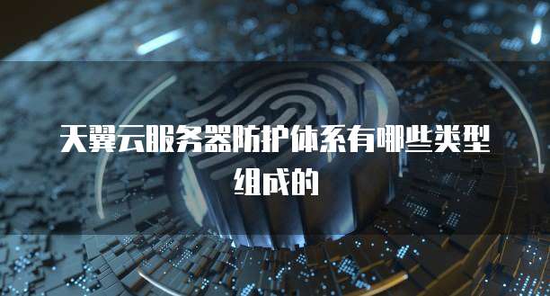 天翼云服务器防护体系有哪些类型组成的