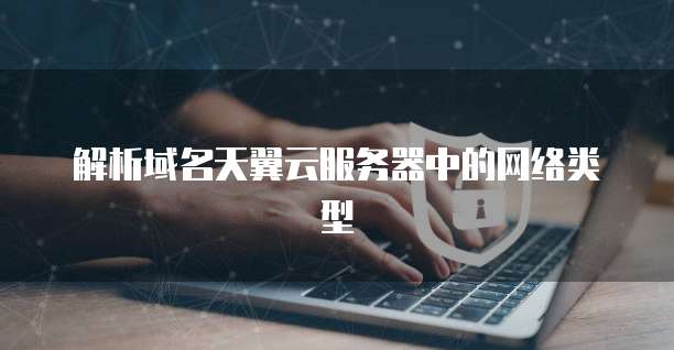 解析域名天翼云服务器中的网络类型