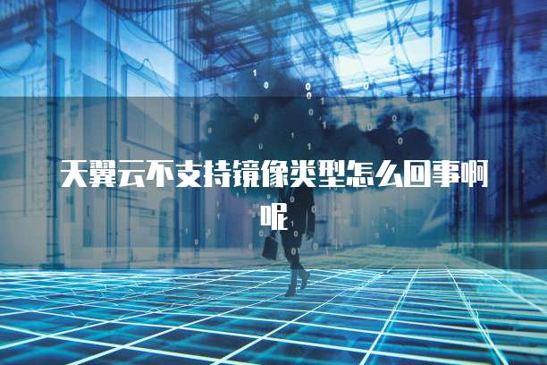 天翼云不支持镜像类型怎么回事啊呢