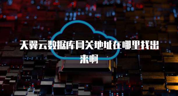 天翼云数据库网关地址在哪里找出来啊