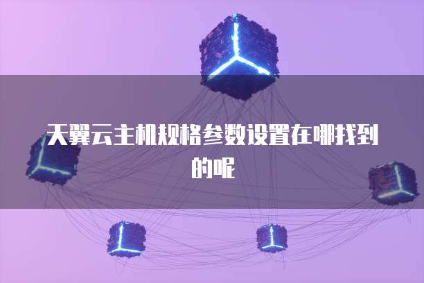 天翼云主机规格参数设置在哪找到的呢