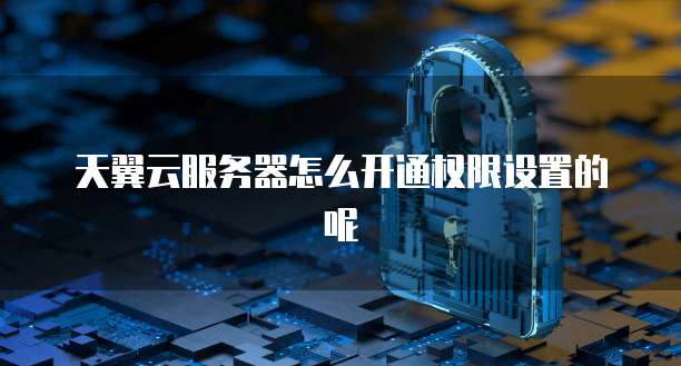 天翼云服务器怎么开通权限设置的呢