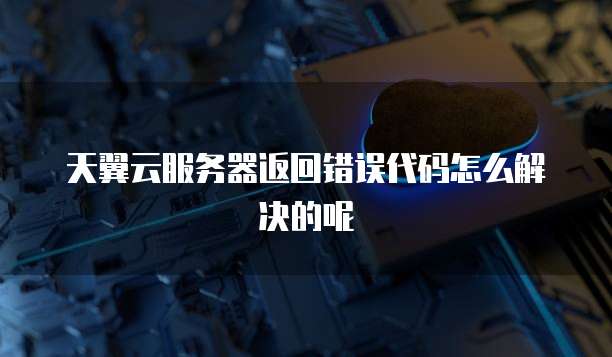 天翼云服务器返回错误代码怎么解决的呢