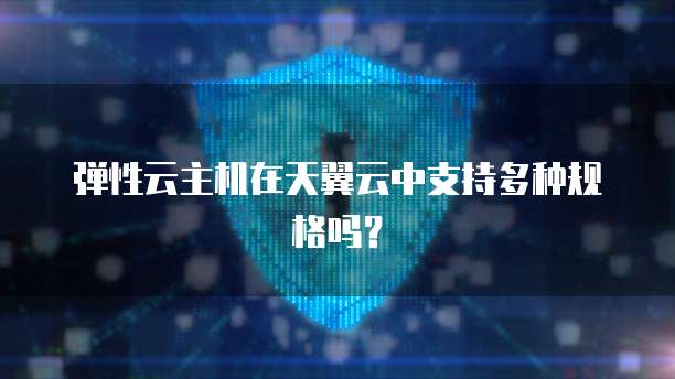 弹性云主机在天翼云中支持多种规格吗？