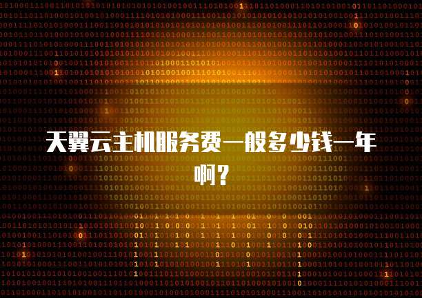 天翼云主机服务费一般多少钱一年啊？