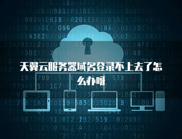 天翼云服务器域名登录不上去了怎么办呀