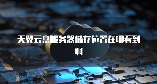 天翼云盘服务器储存位置在哪看到啊