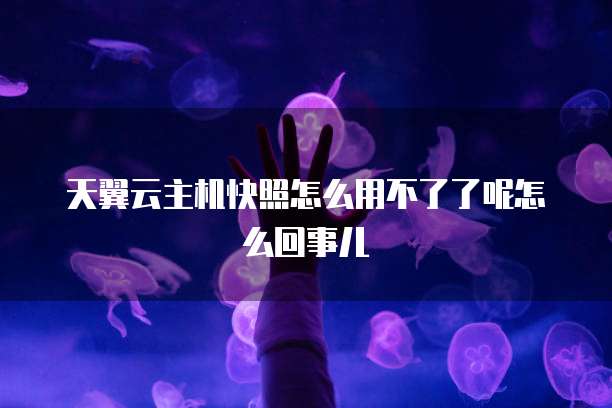 天翼云主机快照怎么用不了了呢怎么回事儿