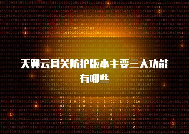 天翼云网关防护版本主要三大功能有哪些