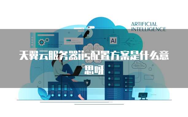 天翼云服务器iis配置方案是什么意思呀