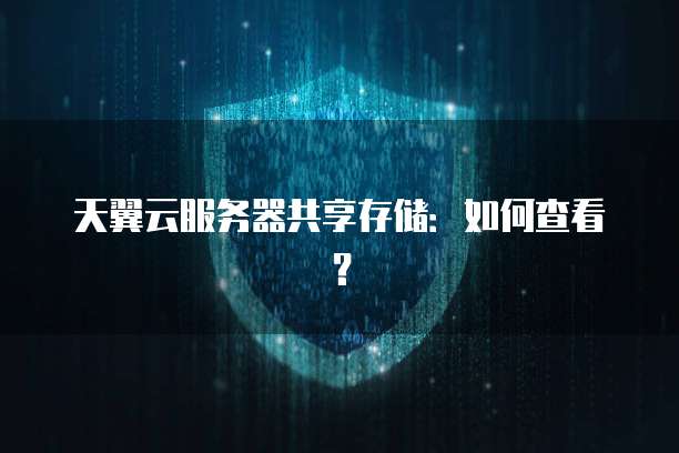 天翼云服务器共享存储：如何查看？