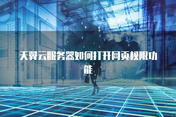 天翼云服务器如何打开网页权限功能