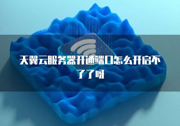 天翼云服务器开通端口怎么开启不了了呀