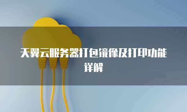 天翼云服务器打包镜像及打印功能详解