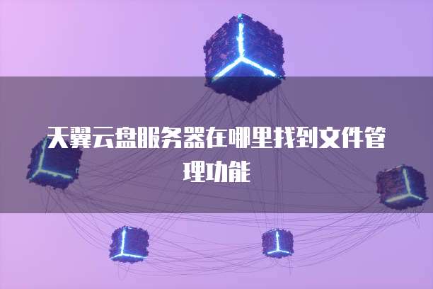 天翼云盘服务器在哪里找到文件管理功能
