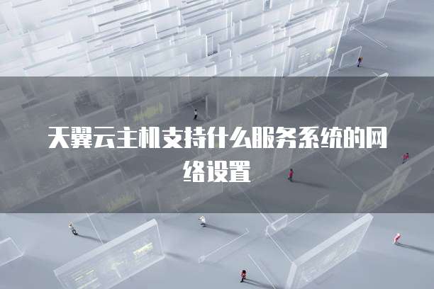 天翼云主机支持什么服务系统的网络设置