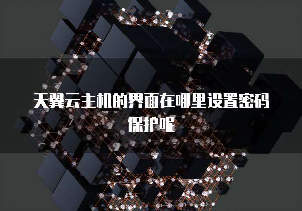 天翼云主机的界面在哪里设置密码保护呢