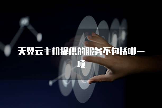 天翼云主机提供的服务不包括哪一项