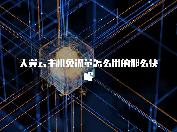 天翼云主机免流量怎么用的那么快呢