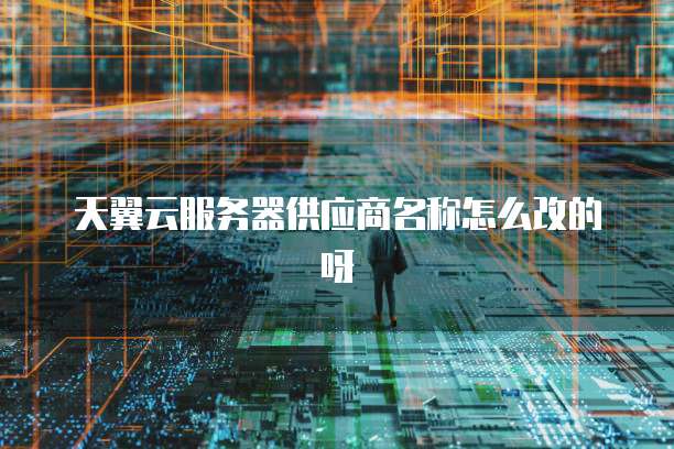 天翼云服务器供应商名称怎么改的呀