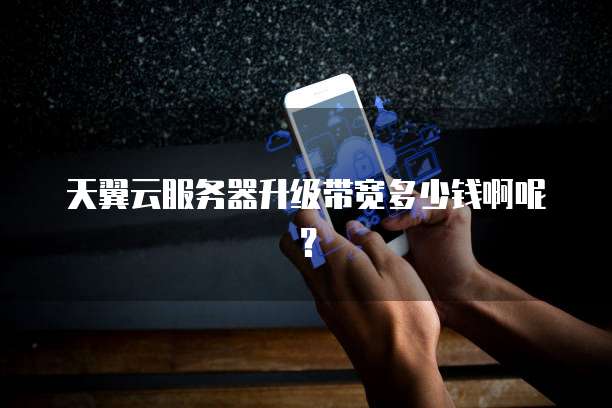 天翼云服务器升级带宽多少钱啊呢？