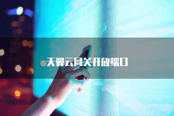 天翼云网关开放端口
