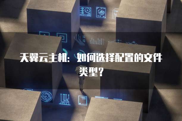 天翼云主机：如何选择配置的文件类型？