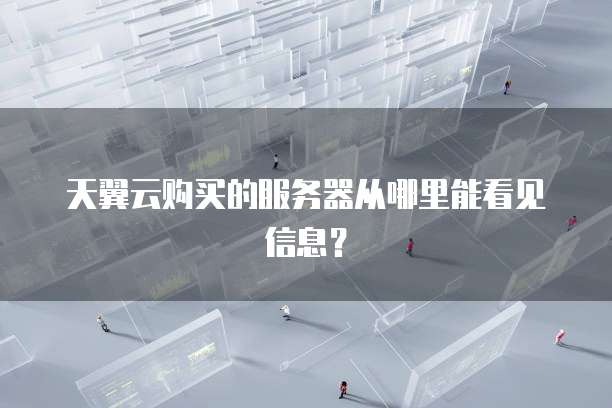 天翼云购买的服务器从哪里能看见信息？