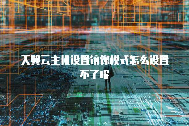 天翼云主机设置镜像模式怎么设置不了呢