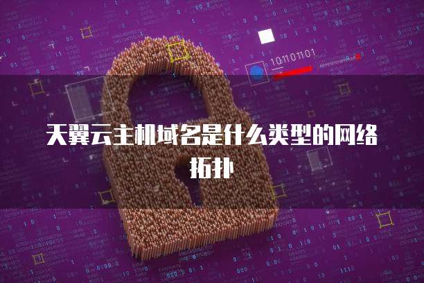 天翼云主机域名是什么类型的网络拓扑