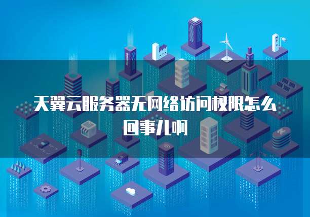 天翼云服务器无网络访问权限怎么回事儿啊